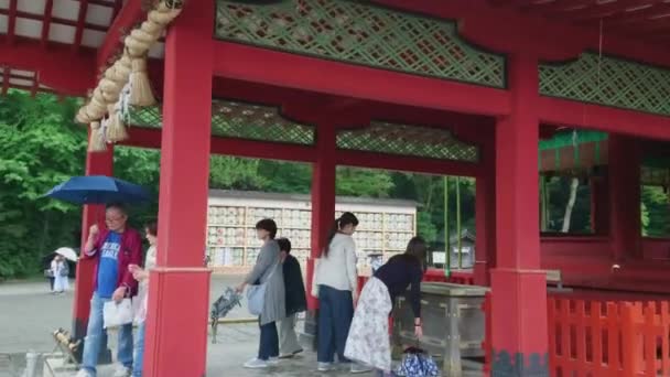 Храм Цуругаока Хачиман-гу - Храм Синто в Камакуре - Камакура, Япония - 18 июня 2018 г. — стоковое видео