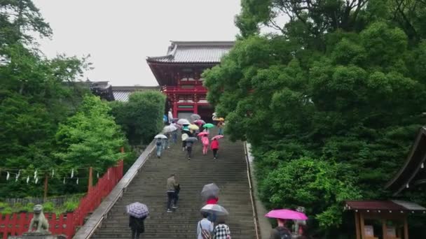 Şinto tapınak Kamakura - ünlü Tsurugaoka Hachiman-gu tapınak - Kamakura, Japonya - 18 Haziran 2018 — Stok video