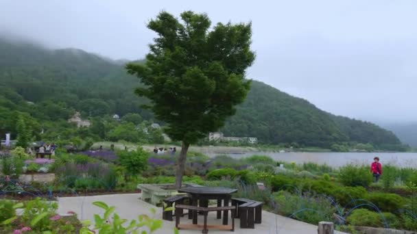 Λίμνη Kawaguchiko στο όρος Φούτζι στην Ιαπωνία - το περίφημο Fujiyama - Kawaguchiko, Ιαπωνία - 17 Ιουνίου 2018 — Αρχείο Βίντεο