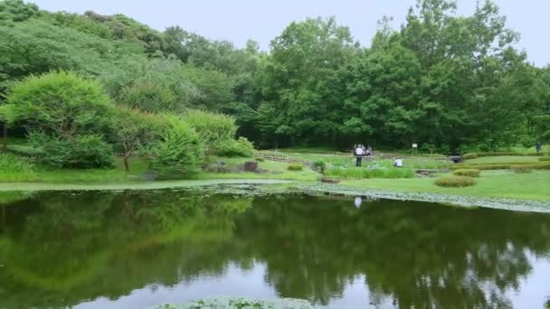 Parque Imperial Palace en Tokio - TOKYO, JAPÓN - 17 DE JUNIO DE 2018 — Vídeos de Stock