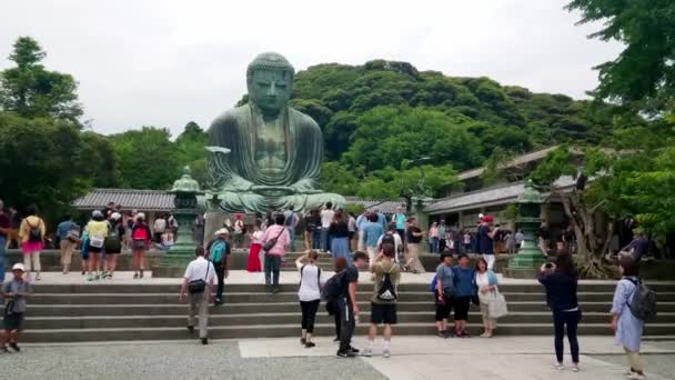 Berühmteste Sehenswürdigkeit in Kamakura - der große Buddha Daibutsu - Tokyo, Japan - 12. Juni 2018 — Stockvideo