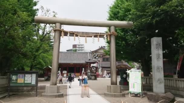 Hermoso santuario en el Parque Ueno Tokio - TOKYO, JAPÓN - 12 DE JUNIO DE 2018 — Vídeos de Stock