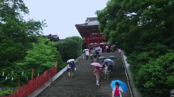 Sacrario di Tsurugaoka Hachiman-gu - Sacrario scintoista in Kamakura - KAMAKURA, GIAPPONE - 18 GIUGNO 2018 — Video Stock