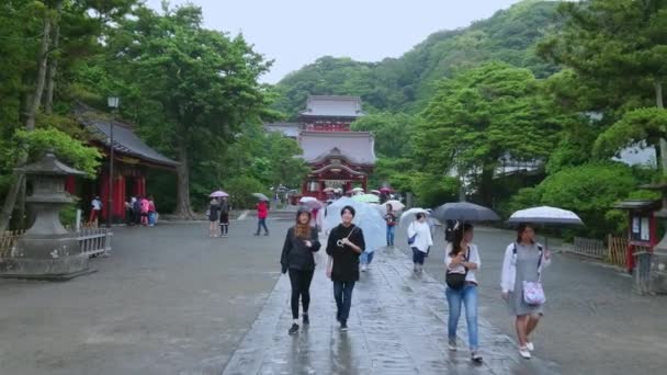 Loopbrug naar een Shinto-Shrine in Kamakura - de beroemde Tsurugaoka Hachiman-gu jinja - Kamakura, Japan - 18 juni, 2018 — Stockvideo