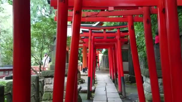 Slavné červené brány cesta Nezu Jinja svatyně v Tokiu - Tokio, Japonsko - 17 červen 2018 — Stock video