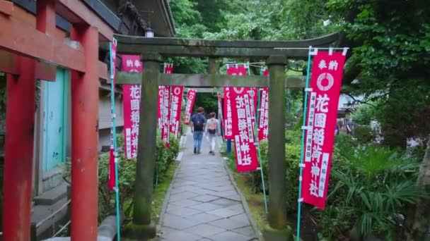 Tempel in het Uenopark in Tokio-Tokio, Japan - 12 juni, 2018 — Stockvideo