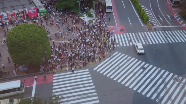 Знаменитый переход Сибуя в Токио - вид с воздуха - ТОКИО, Япония - 12 июня 2018 г. — стоковое видео