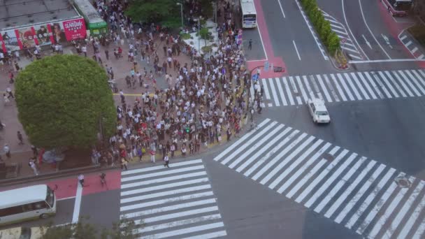 Famoso cruce de Shibuya en Tokio - vista aérea - TOKYO, JAPÓN - 12 DE JUNIO DE 2018 — Vídeos de Stock