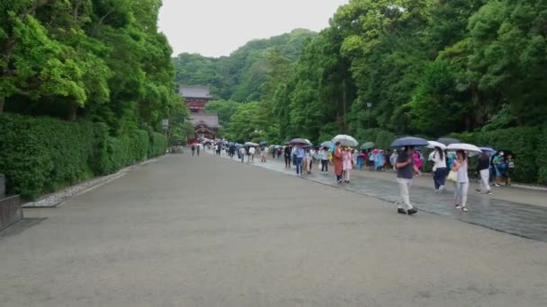 Loopbrug naar een Shinto-Shrine in Kamakura - de beroemde Tsurugaoka Hachiman-gu jinja - Kamakura, Japan - 18 juni, 2018 — Stockvideo