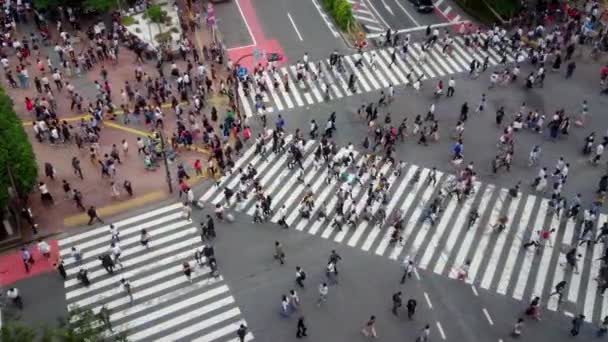 Slavné křížení Shibuya v Tokiu - letecký pohled - Tokio, Japonsko - 12 červen 2018 — Stock video