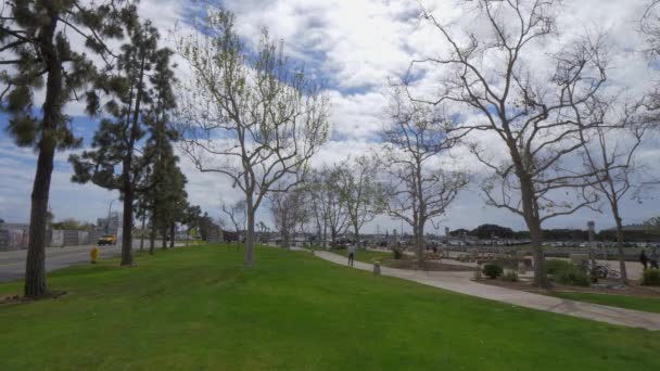 Beautiful park at San Diego bay - CALIFORNIA, USA - Μάρτιος 18, 2019 — Αρχείο Βίντεο