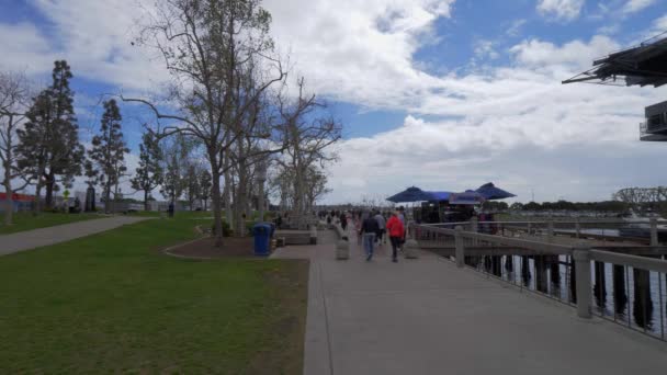 Prachtig park aan de baai van San Diego - CALIFORNIA, Verenigde Staten - 18 maart 2019 — Stockvideo