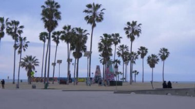 Venice Beach Okyanusu kıyısındaki palmiye ağaçları - CALIFORNIA, ABD - 18 Mart 2019