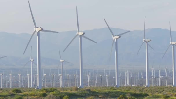 Los molinos de viento de Palm Springs en California — Vídeo de stock
