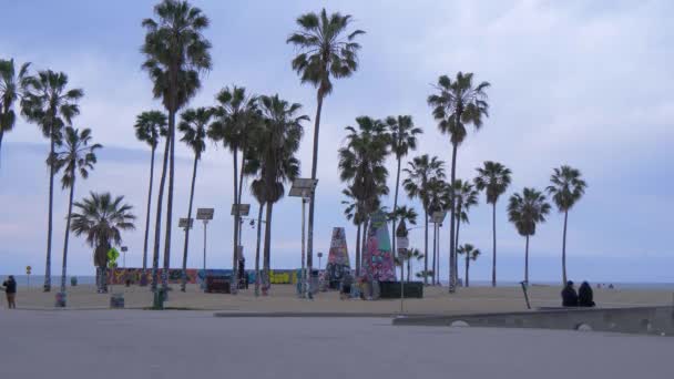 Pálmafák Venice Beach oceanfront - CALIFORNIA, USA - MÁRCIUS 18, 2019 — Stock videók