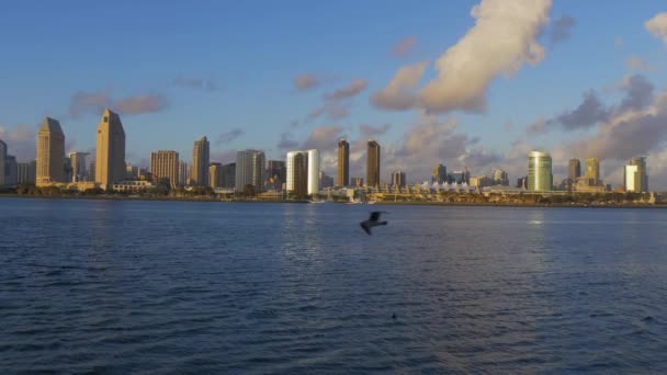 San Diego skyline bij zonsondergang - CALIFORNIA, Verenigde Staten - 18 maart 2019 — Stockvideo