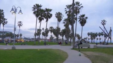 Venice Beach Okyanusu kıyısındaki palmiye ağaçları - CALIFORNIA, ABD - 18 Mart 2019
