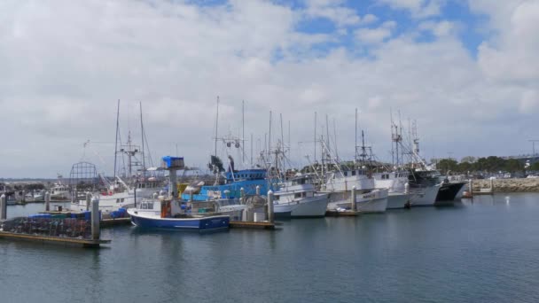 San Diego Marina kikötő - CALIFORNIA, USA - 2019. március 18. — Stock videók
