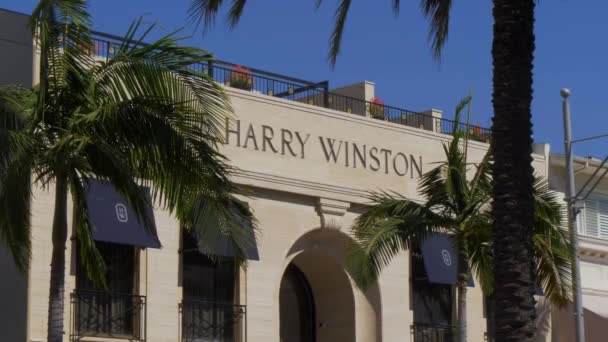 Harry Winston má na Rodeo Drive v Beverly Hills-Kalifornie, USA-18. března 2019 — Stock video