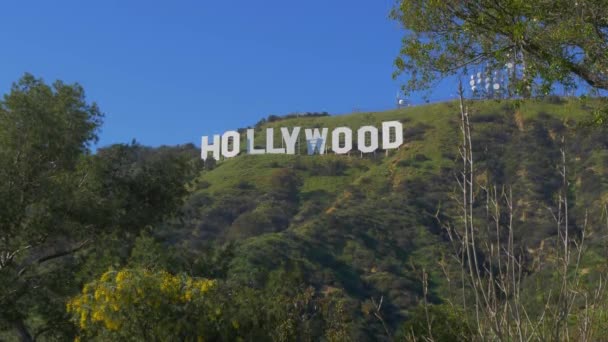 Hollywood tepelerindeki Hollywood tabelası - CALIFORNIA, ABD - 18 Mart 2019 — Stok video