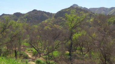 California 'daki Malibu Creek Eyalet Parkı