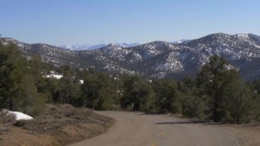 Sierra Nevada 'daki güzel Inyo Ulusal Ormanı