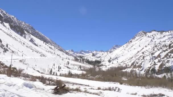 Las montañas cubiertas de nieve del Bosque Nacional Inyo — Vídeos de Stock