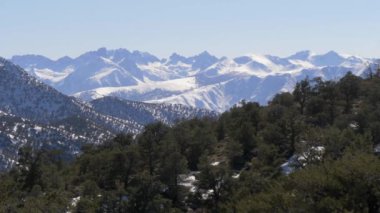 Sierra Nevada 'daki güzel Inyo Ulusal Ormanı