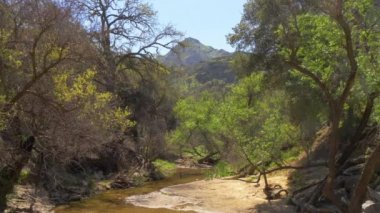 California 'daki Malibu Creek Eyalet Parkı