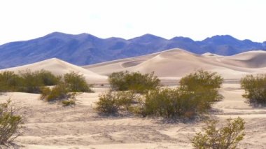 Nevada çölünde kum tepeleri
