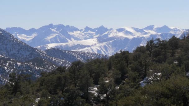 Prachtig Inyo Nationaal Bos in de Sierra Nevada — Stockvideo