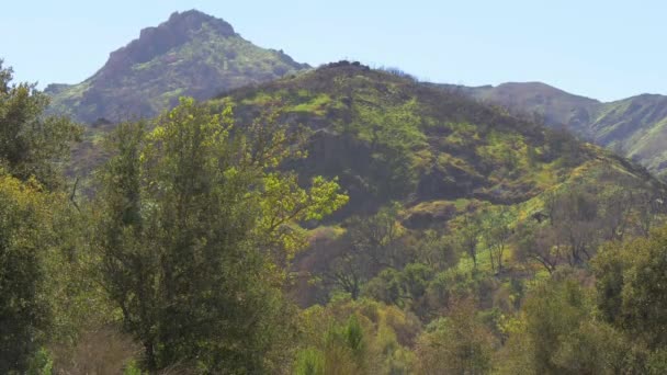 Park Stanowy Malibu Creek w Kalifornii — Wideo stockowe