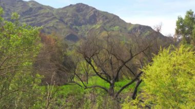 California 'daki Malibu Creek Eyalet Parkı