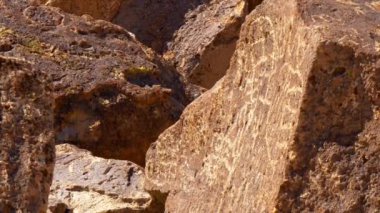 Doğu Sierra 'daki Yarıkarınca Vadisi' nde Antik Petroglifler