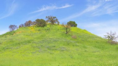 California 'daki Malibu Creek Eyalet Parkı