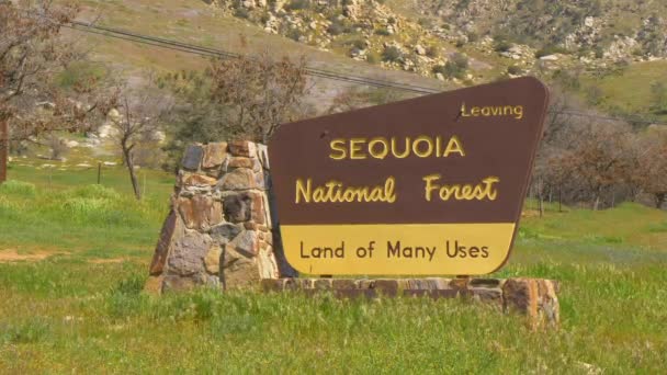 Sequoia National Forest in Kalifornien - RIVERKERN, USA - 29. MÄRZ 2019 — Stockvideo