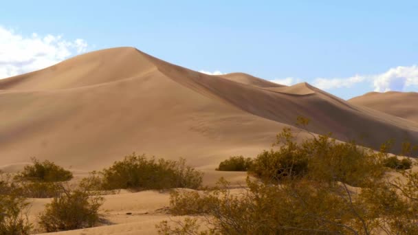 Песчаные дюны в пустыне Невады — стоковое видео