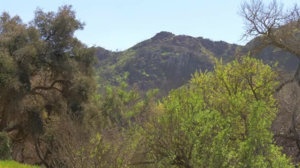 Parcul de Stat Malibu Creek din California — Videoclip de stoc