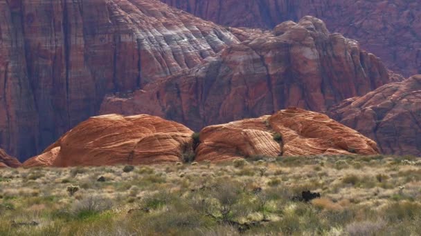Red mountains at Snow Canyon in Utah — Stock Video