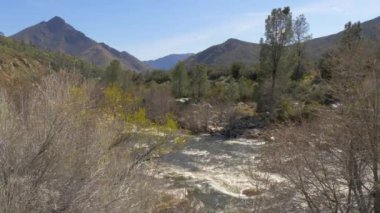 Kaliforniya 'daki inanılmaz Sequoia Ulusal Ormanı