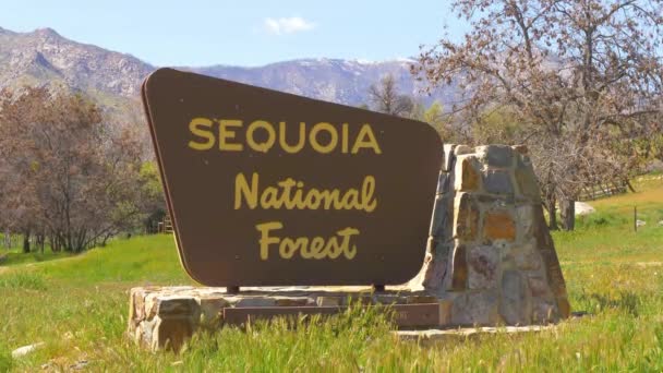 Sequoia National Forest in Kalifornien - RIVERKERN, USA - 29. MÄRZ 2019 — Stockvideo