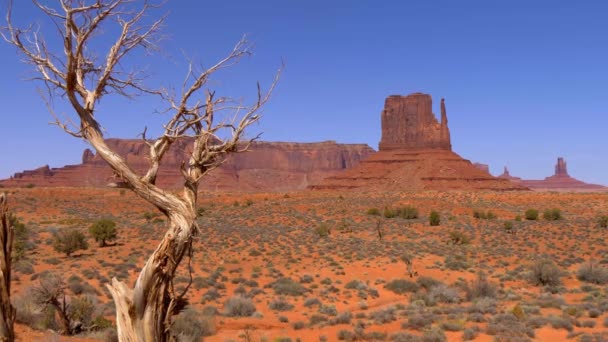 Denkmal Tal in utah oljato — Stockvideo