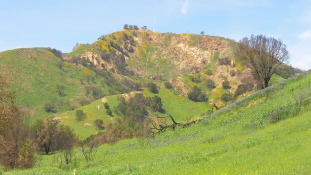 Malibu Creek State Park in California — Stock Video