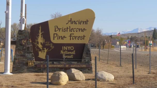 Ancient Bristlecone Pine Forest - LONE PINE CA, Estados Unidos - 29 de MARZO de 2019 — Vídeos de Stock