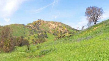 California 'daki Malibu Creek Eyalet Parkı
