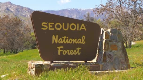 Sequoia National Forest in Kalifornien - RIVERKERN, USA - 29. MÄRZ 2019 — Stockvideo