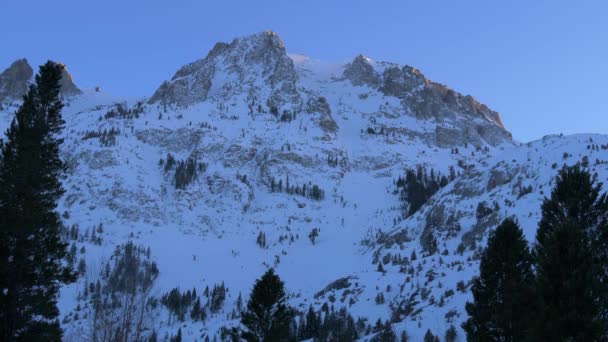 Forêt nationale d'Inyo en hiver — Video