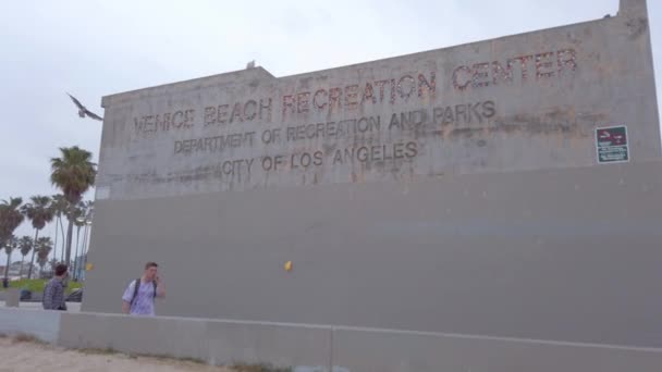 Venice Beach Recreation Center - LOS ANGELES, USA - April 1, 2019 — Αρχείο Βίντεο