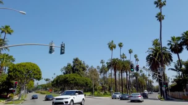 Beverly Hills 'teki Palmiye Ağacı Geçitleri - LOS ANGELES, ABD - 1 Nisan 2019 — Stok video