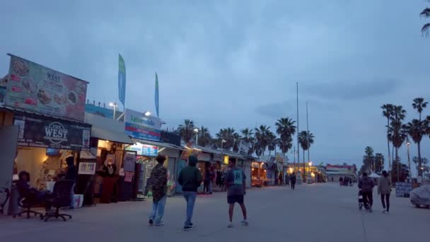 威尼斯海滩海洋漫步-美国海景角- 2019年4月1日 — 图库视频影像